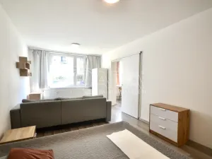 Prodej bytu 1+1, Milovice - Mladá, Višňová, 42 m2