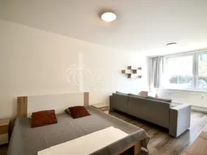 Prodej bytu 1+1, Milovice - Mladá, Višňová, 42 m2