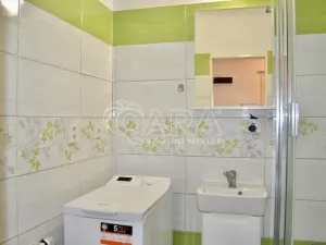 Prodej bytu 1+1, Milovice - Mladá, Višňová, 42 m2