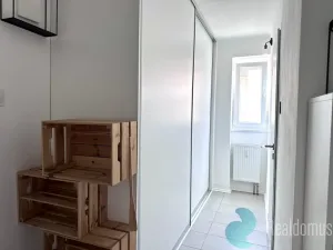 Pronájem bytu 1+1, České Budějovice, Pabláskova, 45 m2