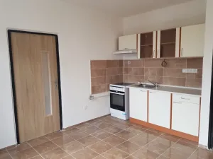 Pronájem bytu 1+1, Děčín - Děčín VI-Letná, 43 m2