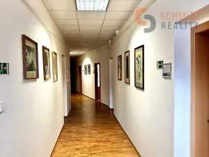 Pronájem kanceláře, Mikulov, Kostelní nám., 36 m2