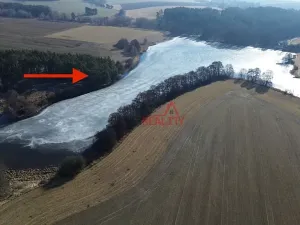 Prodej lesa, Čistá, 1294 m2