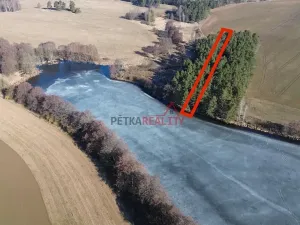 Prodej lesa, Čistá, 1294 m2