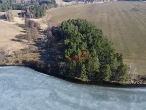 Prodej lesa, Čistá, 1294 m2