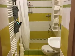 Prodej ubytování, Olomouc, Rejskova, 154 m2