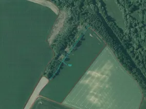 Dražba louky, Peč, 7060 m2