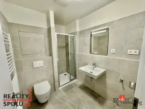 Pronájem bytu 1+kk, Brno - Trnitá, Křenová, 32 m2