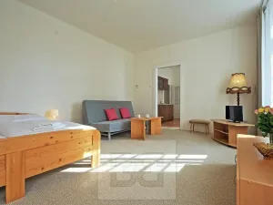 Pronájem bytu 2+kk, Praha - Nové Město, V jirchářích, 47 m2