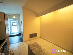 Pronájem bytu 1+1, Tursko, Ke Statkům, 51 m2