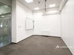 Pronájem kanceláře, Brno, 248 m2