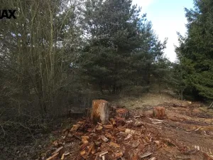 Prodej pozemku pro bydlení, Olešná, 654 m2