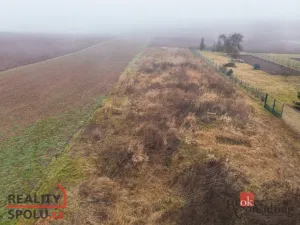 Prodej pozemku pro bydlení, Olešná, 2187 m2