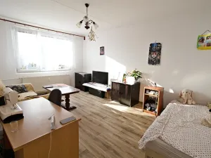 Prodej bytu 1+1, Domažlice, Mánesova, 40 m2
