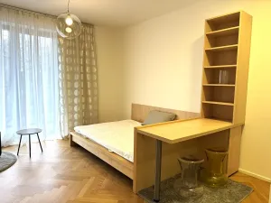 Pronájem bytu 1+kk, Praha - Žižkov, Kališnická, 40 m2