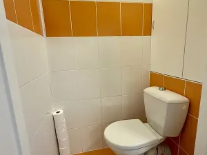 Pronájem bytu 3+1, Plzeň, Sokolovská, 68 m2