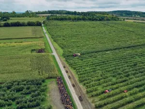 Prodej sadu/vinice, Červené Pečky, 13966 m2