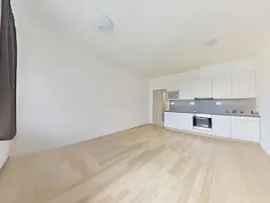 Pronájem bytu 1+kk, Brno, Vranovská, 29 m2