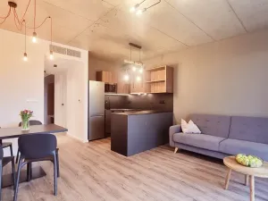 Pronájem bytu 2+kk, Brno, V rejích, 49 m2