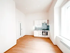 Pronájem bytu 1+1, Praha - Žižkov, Jeronýmova, 38 m2