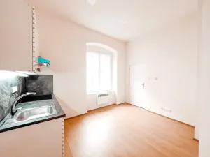 Pronájem bytu 1+1, Praha - Žižkov, Jeronýmova, 38 m2