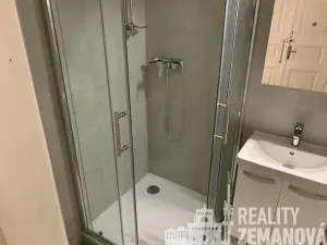 Pronájem bytu 1+1, Praha - Vinohrady, Řipská, 48 m2