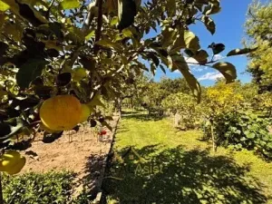 Prodej rodinného domu, Rajhrad, Ostrůvek, 95 m2