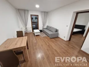 Pronájem bytu 2+kk, Plzeň - Jižní Předměstí, U Borského parku, 52 m2