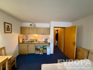 Pronájem bytu 1+kk, Bayerisch Eisenstein, Německo, Bahnhofstrasse, 25 m2