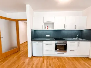 Pronájem bytu 1+kk, Praha - Žižkov, Malešická, 59 m2
