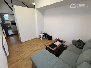 Pronájem bytu 1+kk, Valašské Meziříčí, Křižná, 30 m2