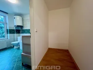 Pronájem bytu 2+kk, Brno, Reissigova, 47 m2