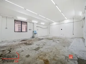 Pronájem skladu, Stěžery, 56 m2