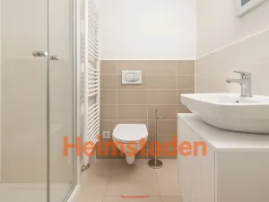 Pronájem bytu 1+kk, Plzeň - Jižní Předměstí, Magisterská, 27 m2