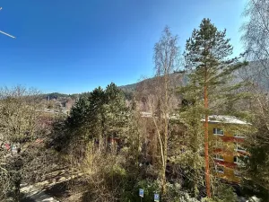 Pronájem bytu 1+1, Děčín, Na Pěšině, 36 m2