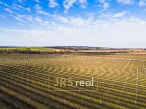 Prodej - jiné, Prušánky, Nechory, 145 m2