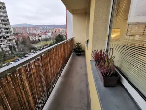 Pronájem bytu 1+kk, Litoměřice - Předměstí, Revoluční, 35 m2