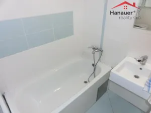 Pronájem bytu 3+1, Ústí nad Labem - Ústí nad Labem-centrum, Koněvova, 60 m2