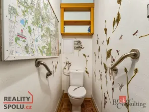 Prodej bytu 2+1, Hradec Králové - Pražské Předměstí, Gočárova třída, 72 m2