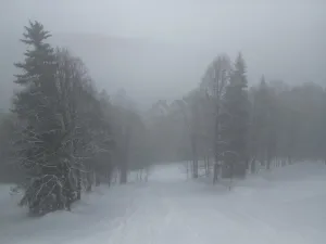 Prodej chalupy, Malá Úpa - Dolní Malá Úpa, 110 m2