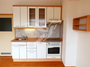 Pronájem bytu 1+1, Plzeň, Jiráskovo náměstí, 47 m2