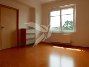 Pronájem bytu 1+1, Plzeň, Jiráskovo náměstí, 47 m2