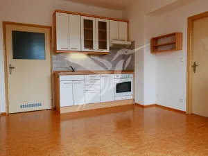 Pronájem bytu 1+1, Plzeň, Jiráskovo náměstí, 47 m2