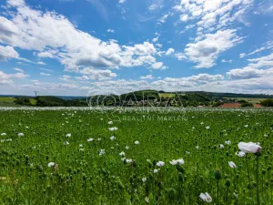 Prodej pozemku pro bydlení, Zvánovice, Lipová, 431 m2