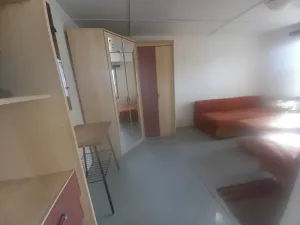 Pronájem zahrady, Brno, 340 m2