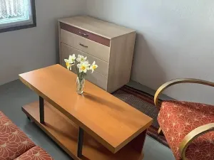 Pronájem zahrady, Brno, 340 m2