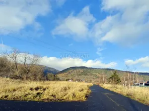 Prodej komerčního pozemku, Hroznětín, Nádražní, 7179 m2