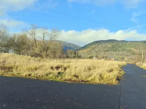 Prodej komerčního pozemku, Hroznětín, Nádražní, 3460 m2