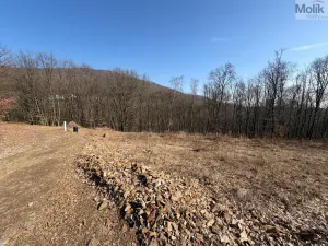 Prodej pozemku pro bydlení, Lom, Alšova, 2648 m2