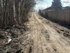 Prodej pozemku pro bydlení, Lom, Alšova, 2648 m2